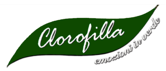 Clorofilla